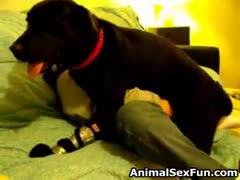 Kinky animal porn scenes on cam during homemade video with a dog 